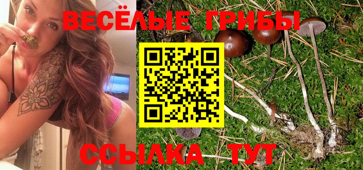 Галлюциногенные грибы ЛСД Набережные Челны