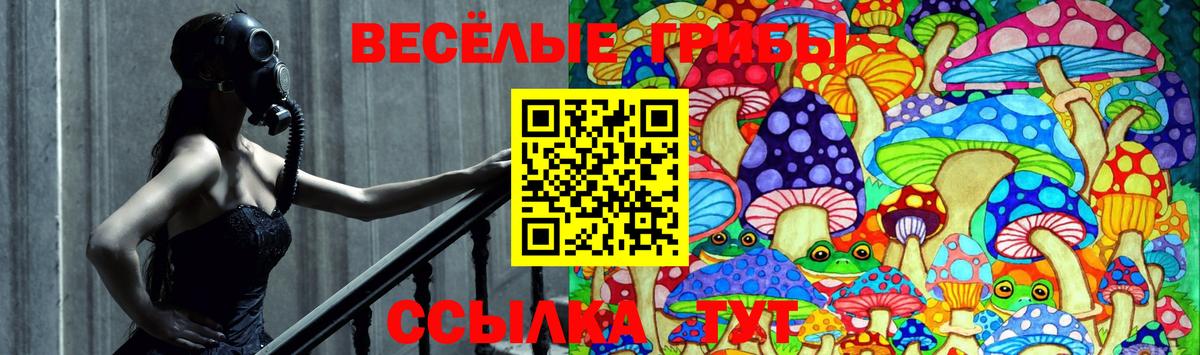 Псилоцибиновые грибы прущие грибы  Вход с VPN  Набережные Челны 